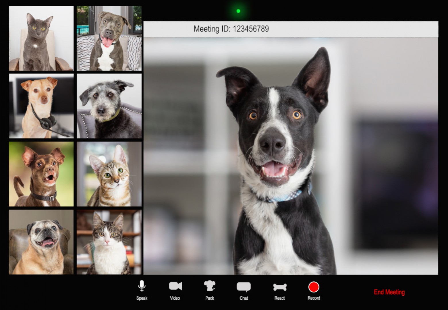 video-conferencing-blog
